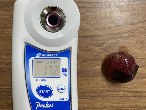 紀州有田巨峰村のとびっきり！あま～い完熟巨峰2kg(種あり4-6房)化粧箱入り