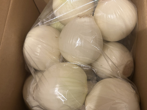 ‼️白剥き玉ねぎ2.5kgお買い得‼️淡路島玉ねぎ白剥き‼️主婦の味方❗️生ゴミ無し❗️即使える❗️特別栽培農産物　シャーロットオニオン