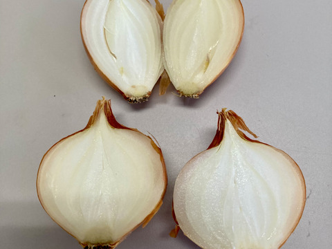 【小ぶりだけど美味しいです！！】玉ねぎニンニクセット