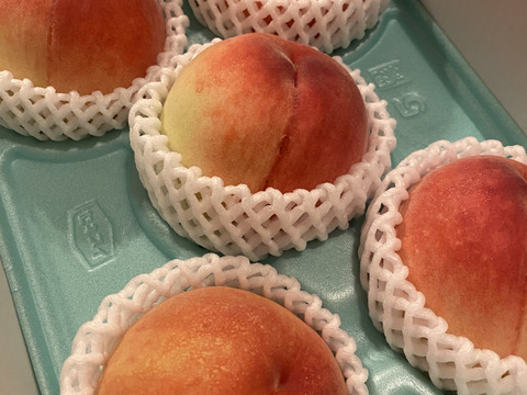 あら川の桃 品種おまかせ発送 小箱(5～7玉)【夏ギフト】熨斗対応