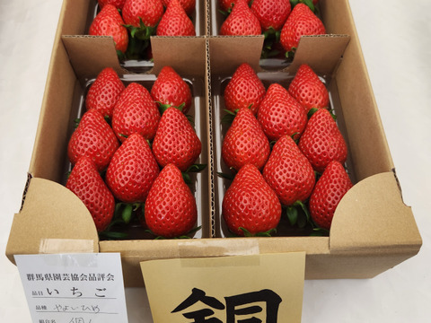 去年のコース商品と同じ品【大容量お得パック、2年連続品評会入賞🍓】やよいひめ 1kg どこにも無い味の濃さを皆様の元へお届けしたいと思いで作っているイチゴです