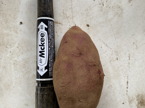 3種　1番人気サイズの食べ比べ❣️S〜Lサイズ
9.8kg