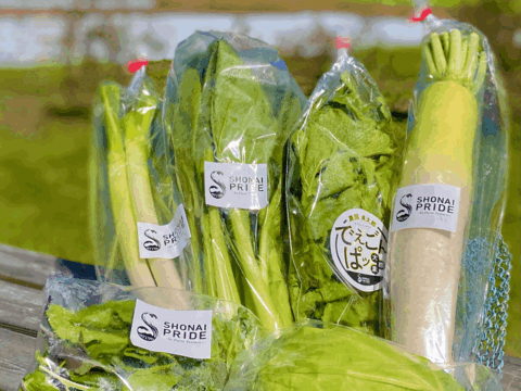【山形庄内特産】秋の野菜セットSサイズ〈5-6品目〉