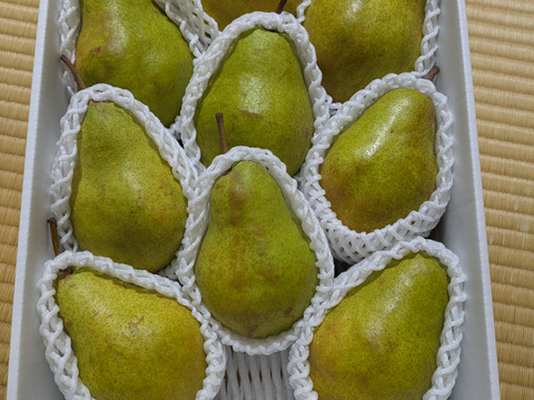 🍐【レア品種の訳あり】【絶妙な酸味で濃厚な味わい】『シルバーベル』 ３キロ 【西洋なし】【西洋梨】【山形県天童市産】【ご家庭用】