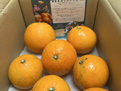 【まるでゼリー？！】まどんな 2kg【冬ギフト】