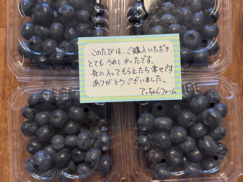 ☆令和7年 生ブルーベリー☆ 農薬不使用 3㌔ notty 楽天市場】順次出荷 坂上さんちの「完熟 生ブルーベリー