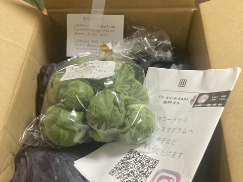 【食べチョクアワード2025入賞】　
（４玉）ミニ紫キャベツ