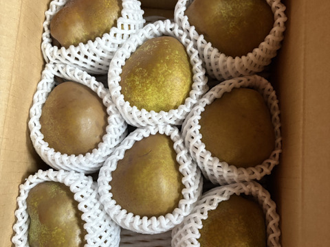 ●訳あり●　山形県産　洋梨　ラ・フランス　2kg (6～12玉)