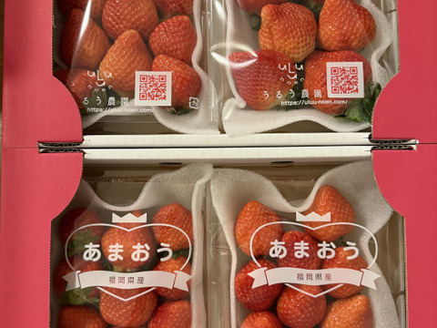 あまおう サイズ色々！270ｇ×4パック　たっぷり1080ｇSP