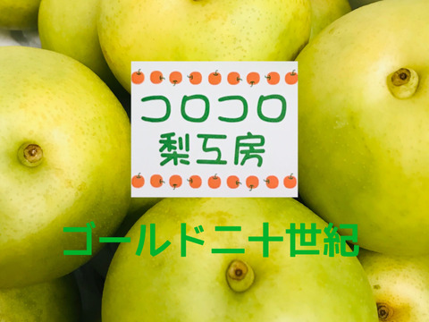 【とにかくシャキシャキ‼️】ゴールド二十世紀梨②✨️爽やかな甘みとシャキシャキジューシーで日持ち良し‼️贈答用約2.2kg(中玉7個入