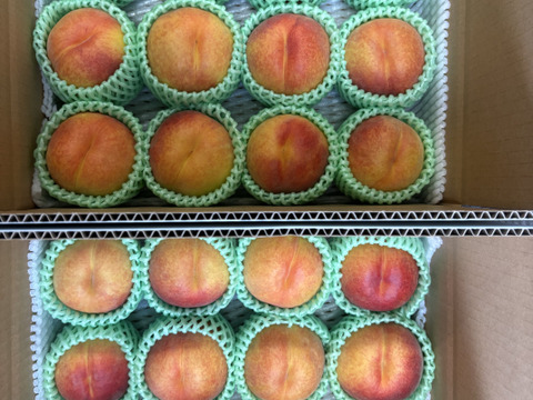 🉐2026年予約【お中元】大人気！！長野県産桃【ワッサー】特選3kg