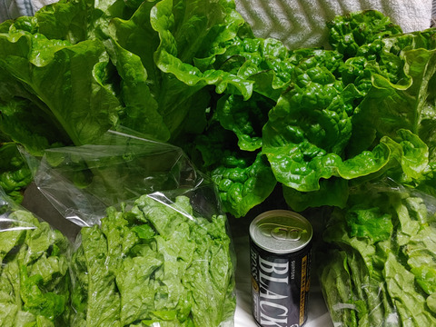 福袋、野菜セット