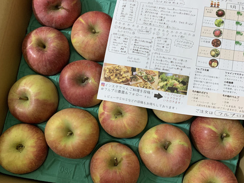 2025年産【家庭用】サンふじ 約5kg 12-23玉 超定番のりんごの王様  11月下旬以降発送予定 長野県産#NAF0B050