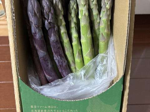 【数量限定】北海道産！グリーン(500g)と紫(500g)の2色食べ比べセット(合計1kg)！紫アスパラは新品種「RG紫色舞ファースト」