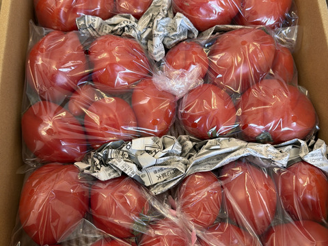 【牛の心臓トマト3kg】加熱調理で旨味抜群のイタリアン品種！（２０～４０玉）