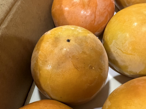 和歌山県産　富有柿　極甘(家庭用)S～Lサイズ【8個～11個入り】