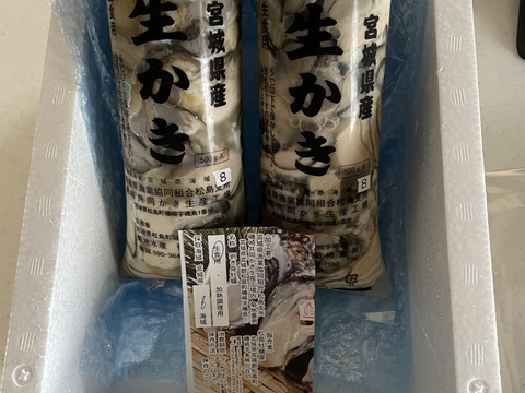 【30％OFF中】1ｋｇ 生食用  むき身 剥き身 牡蠣 宮城県産 500ｇ×２本＝1ｋｇ カキ 加熱用にも使用可能 むき身 生牡蠣　松島牡蠣屋 牡蛎 カキ かき kaki 生牡蠣