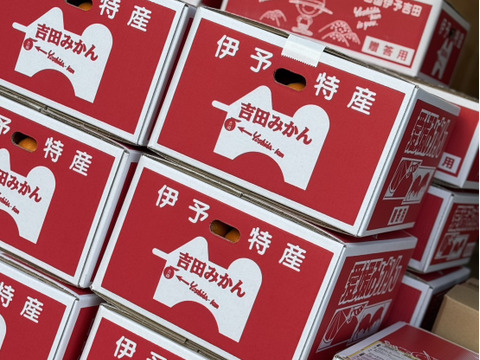 「うまっ」ストレートみかんジュース　720ml × 2本