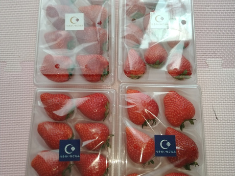 【1kg:4ケース】朝採れとちあいか　いちご生産量日本一の街からお届けします★