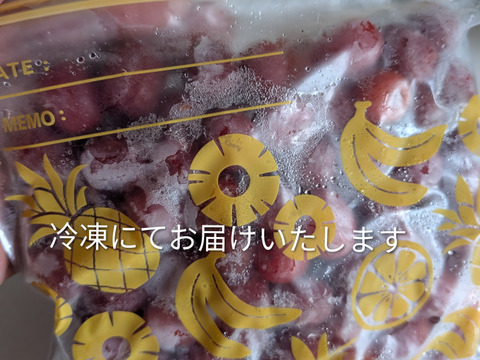冷凍☆グミの実☆グミの木の実☆30個入り🍒 冷凍便にてのお届けになります🍒栄養価の高い和製スーパーフード、グミの実🍒 （※そのまま食べれますが渋みがありますので気になる方は果実酒やジャム等に）