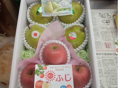 【福袋】サンふじとラフランスの果物詰め合わせセット、2キロ(6~7玉)「熨斗対応可」