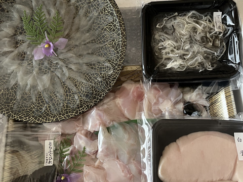 【淡路島3年とらふぐ】活てっちり・てっさ（4人前）【白子付（約200ｇ）】