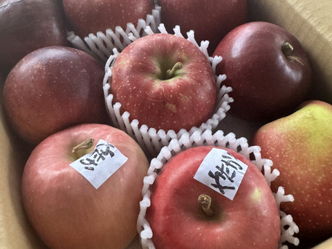 りんごの芯抜きの販売・通販 - 有機野菜の宅配 ぶどうの木