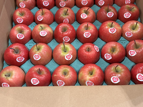 5キロ箱【極小サイズ】キュンとくる酸味！ピンクレディー®　スタンダード品【28個から30個】