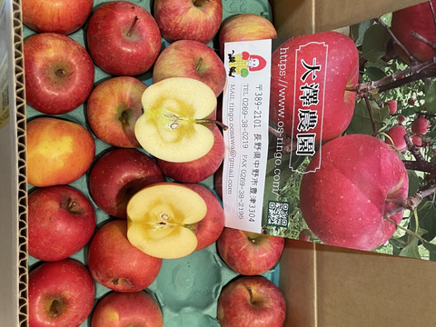 期間限定プライスダウン信州りんご🍎サンふじ2段約8
キロ小玉(40～48個入り)12/15～12/20