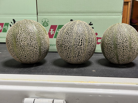 甘さ抜群！驚きの美味しさ！極上『高級アムスメロン』1kg以上×2個