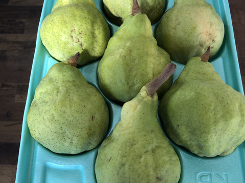 幻の洋梨ル・レクチェ3kg7玉　追熟し完了後発送