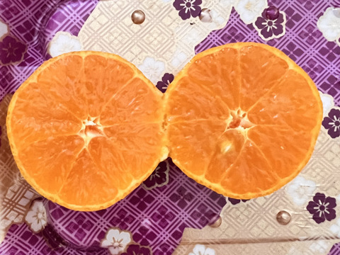 クレモンティーヌ？1.8kg