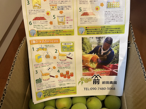 【特別栽培】和歌山県産　南高梅　2Lサイズ(梅酒、梅シロップ用)2.5kg