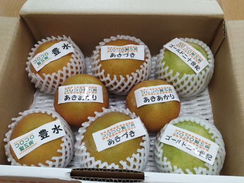 【旬の梨食べ比べ‼️3～5品種】何が届くかお楽しみ😋贈答用2.5kg以上、豊水・あきづき・かおり・あきあかり・二十世紀・南水・にっこり・新高・王秋・新興・愛宕の中から3品種以上詰め合わせます‼️