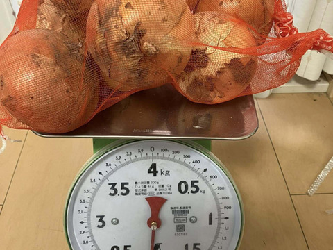 農薬及び化学肥料不使用の玉ねぎ２Kg　長野県山形村産