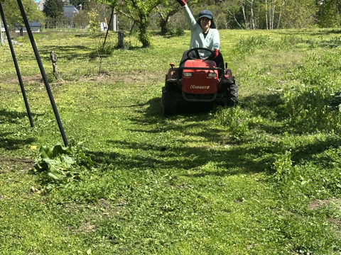 パリパリ食感のワッサー（北信濃産）　桃🍑とネクタリンの良いとこどり　2kg前後（8個〜11個）
⭐︎木採りは終盤となりました。お早めにどうぞ。