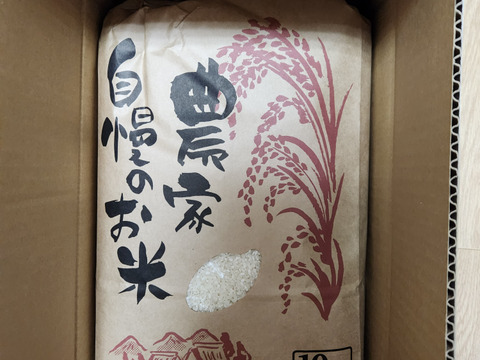 ＜訳あり＞【令和7産】新潟しただ産コシヒカリ（精米10kg）三等米基準　＃低減栽培（詳細は本文）#食品ロス