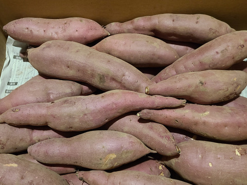 【訳アリ！5kg弱×1箱】ねっとり濃厚、密たっぷり熟成さつまいも🍠「べにはるか」（2S/S/Mサイズ混合お任せセット）