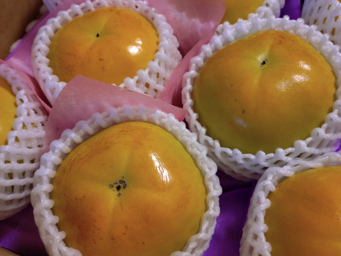 ご予約できます　甘柿『太秋柿』 　サイズ４Ｌ・８個 ・２.45kg以上 白い箱入り