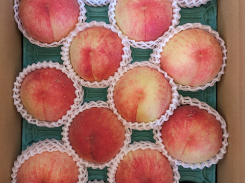 【夏ギフト】なつおとめ　池多桃10,12,14,16,18玉