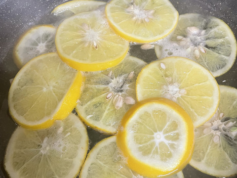 今シーズンラスト
国産グレープフルーツ（オランジェッタやピールなどに）糖度13.5度　当農園調べ　　約1.5キロ