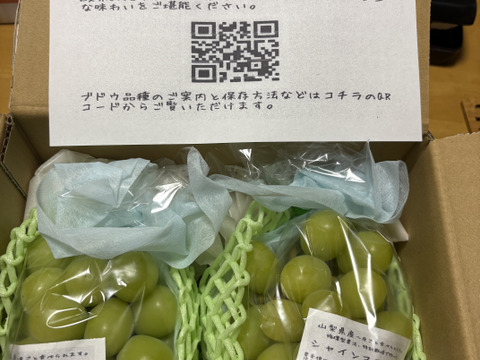 【朝どれ】【9月からお届け:1kg以上！】シャインマスカット 1kg箱