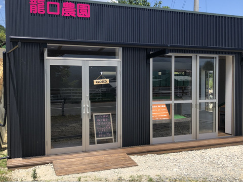 桃黄金桃10玉　A級