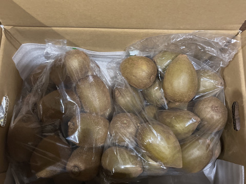 ゴールドキウイふる～つ　規格外Mサイズ２K箱【品種・東京ゴールド】）