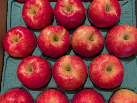 16ケースできました！【りんごの概念変わります】見た目は悪いです！奥州ロマン 訳あり品 5キロ箱 15玉から33玉くらい ID12924 長野 信州 安曇野 リンゴ 幻 幻のリンゴ  希少  甘い