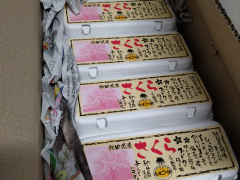 純国産鶏種「さくら」３６個（10個入れ４パック入り４個割れ保障