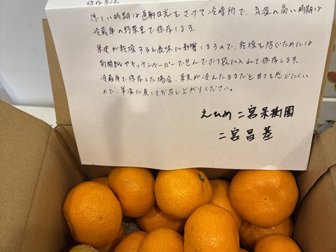 箱込約2㌔　濃い濃い薄皮みかん