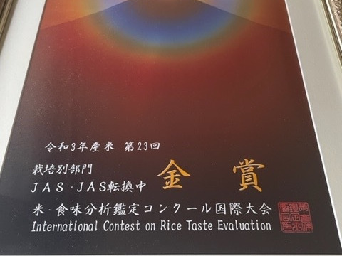 令和5年産　山形県産　つや姫　5kg  お米　5kg