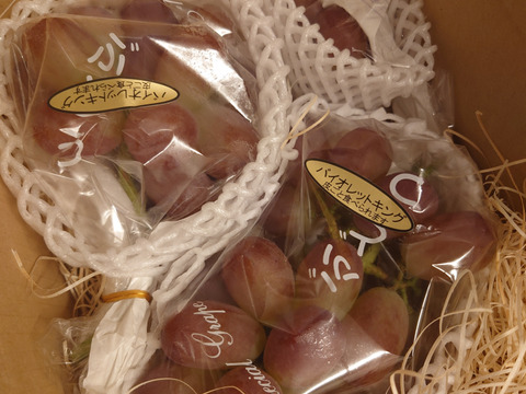 「数量限定」 粒ぷりっぷり食感！果汁が溢れ出るバイオレットキング 800g クイーンマスカット100g程度おまけ有　　少量食べ比べクール便