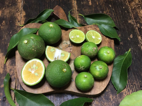 【農薬不使用】香酸系柑橘おまかせセット800g